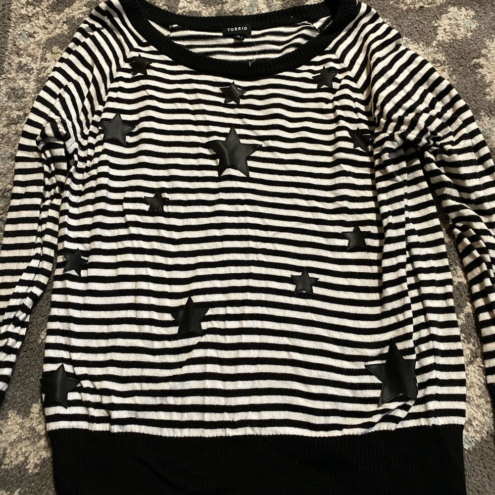 Torrid Sweater